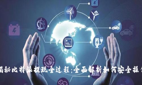 揭秘比特派提现全过程：全面解析如何安全操作